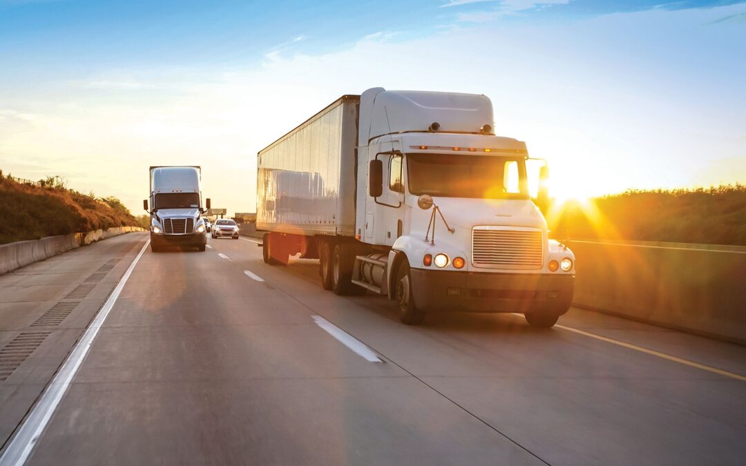 Why Your Business Should Invest in a Transport Management Software?
